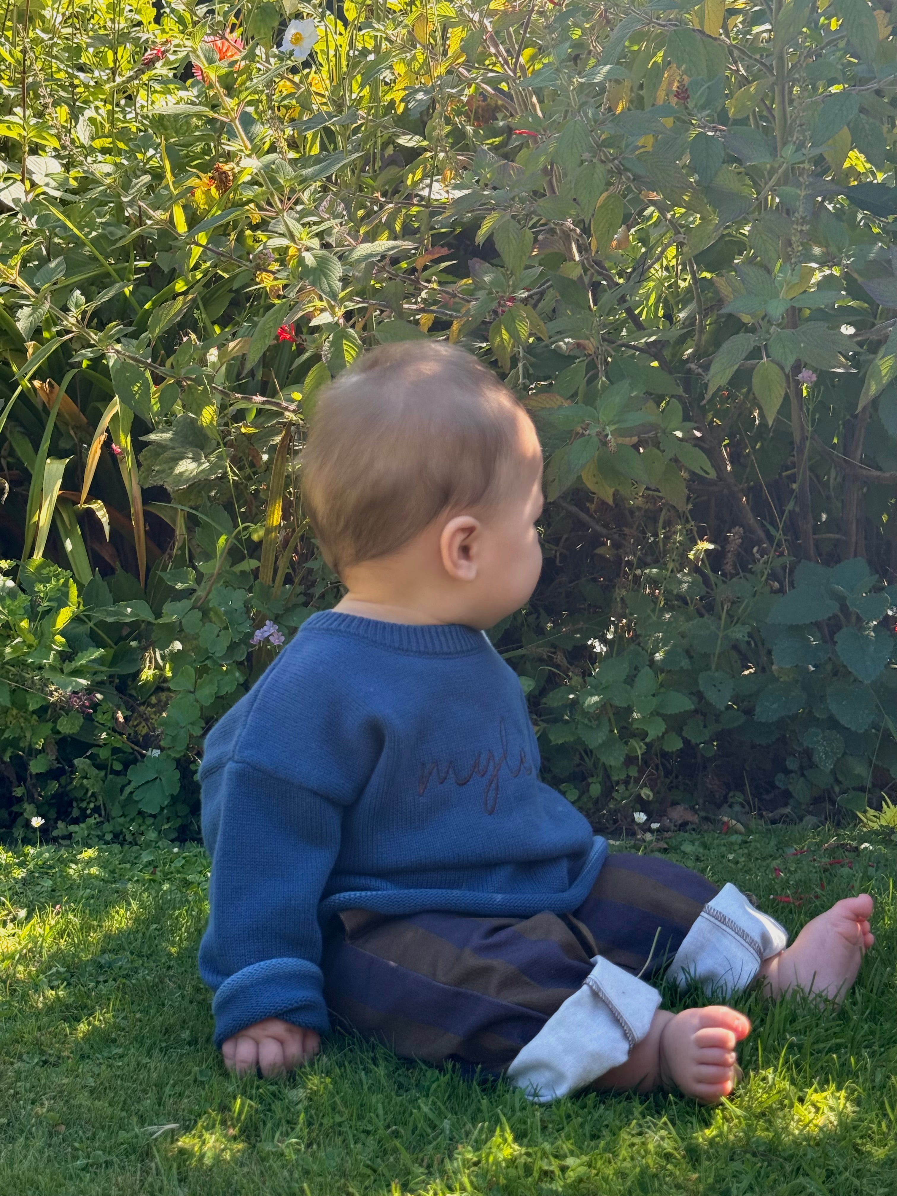 Picnic Pant - Moss Stripe