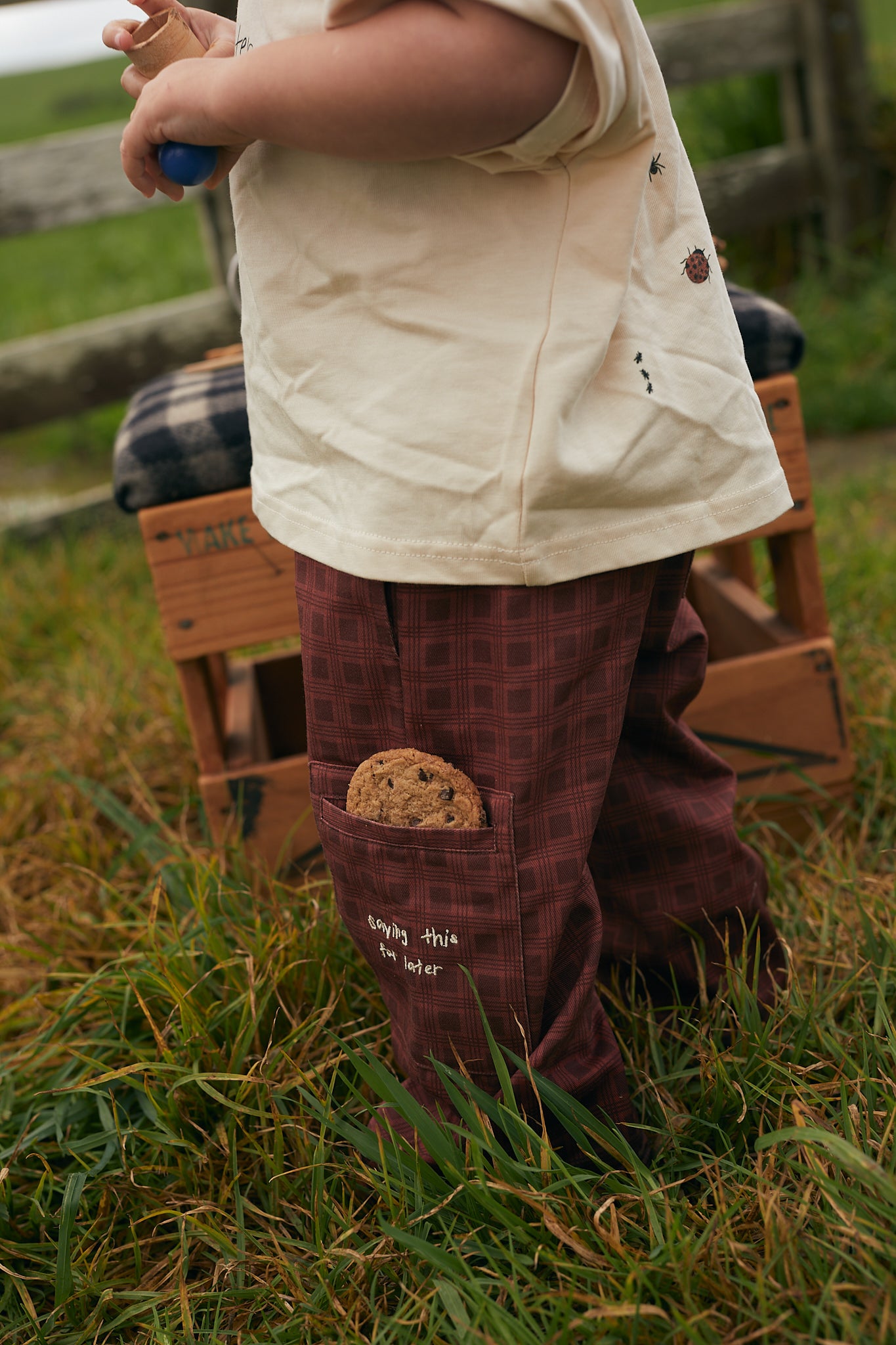 Explorer Pant - Vintage Chestnut Check