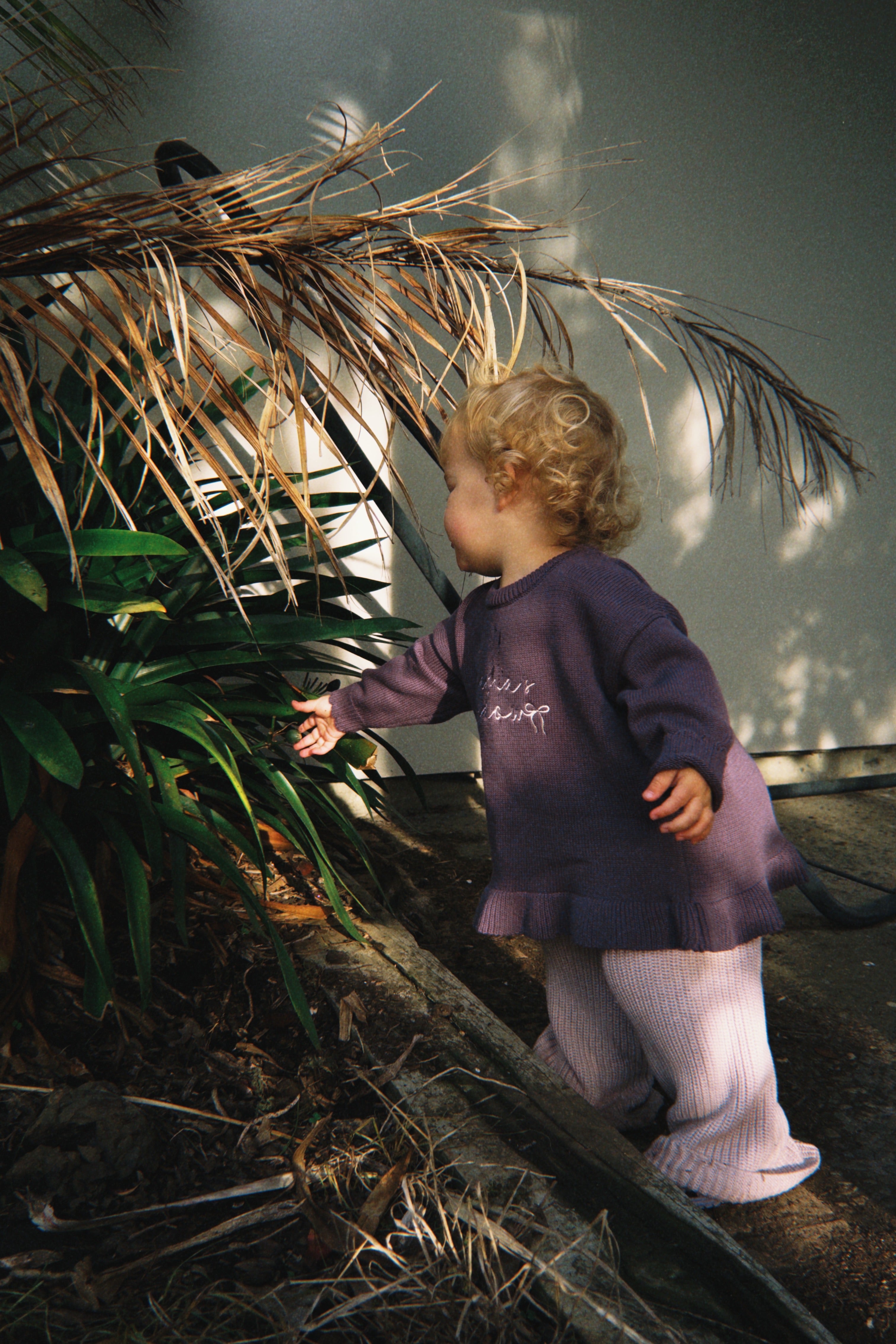 Paysie Frill Sweater - Violet