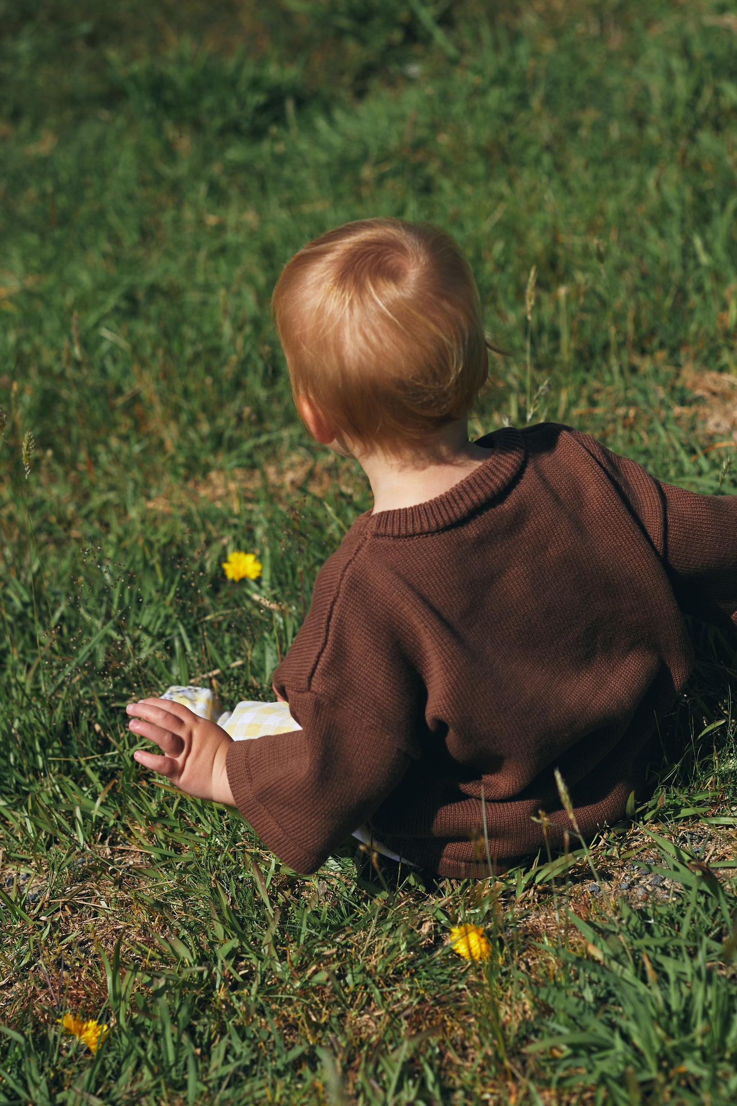 Signature Knit Tee - Chestnut