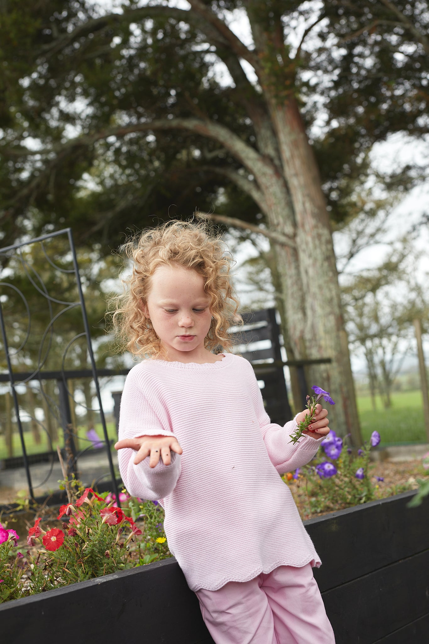 Sweetheart Sweater - Ballet Pink