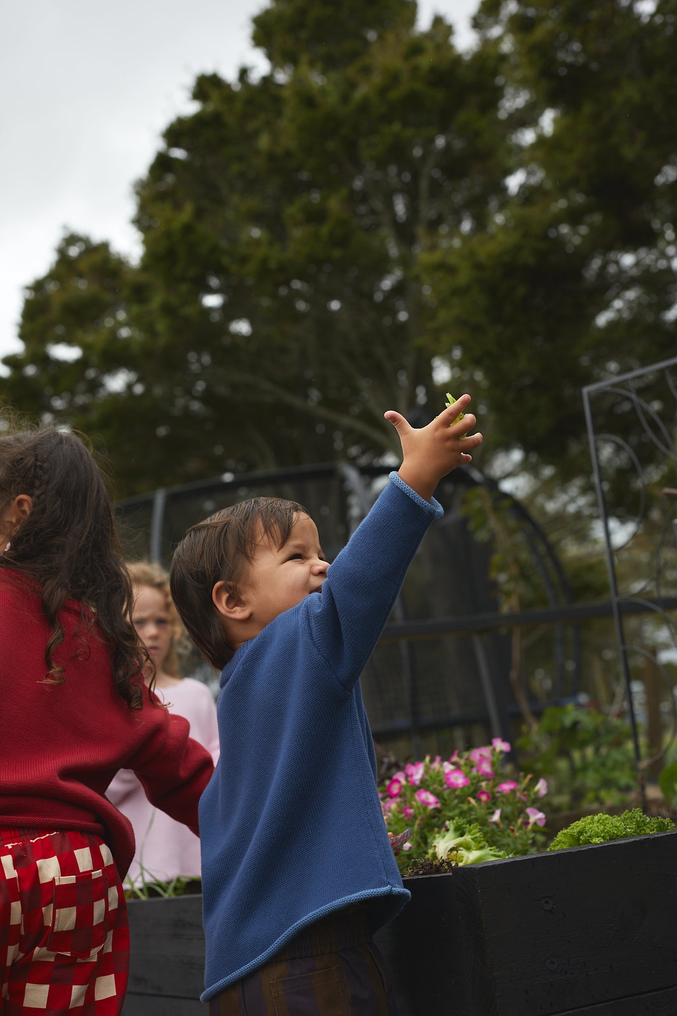 Billie Sweater - Harbour