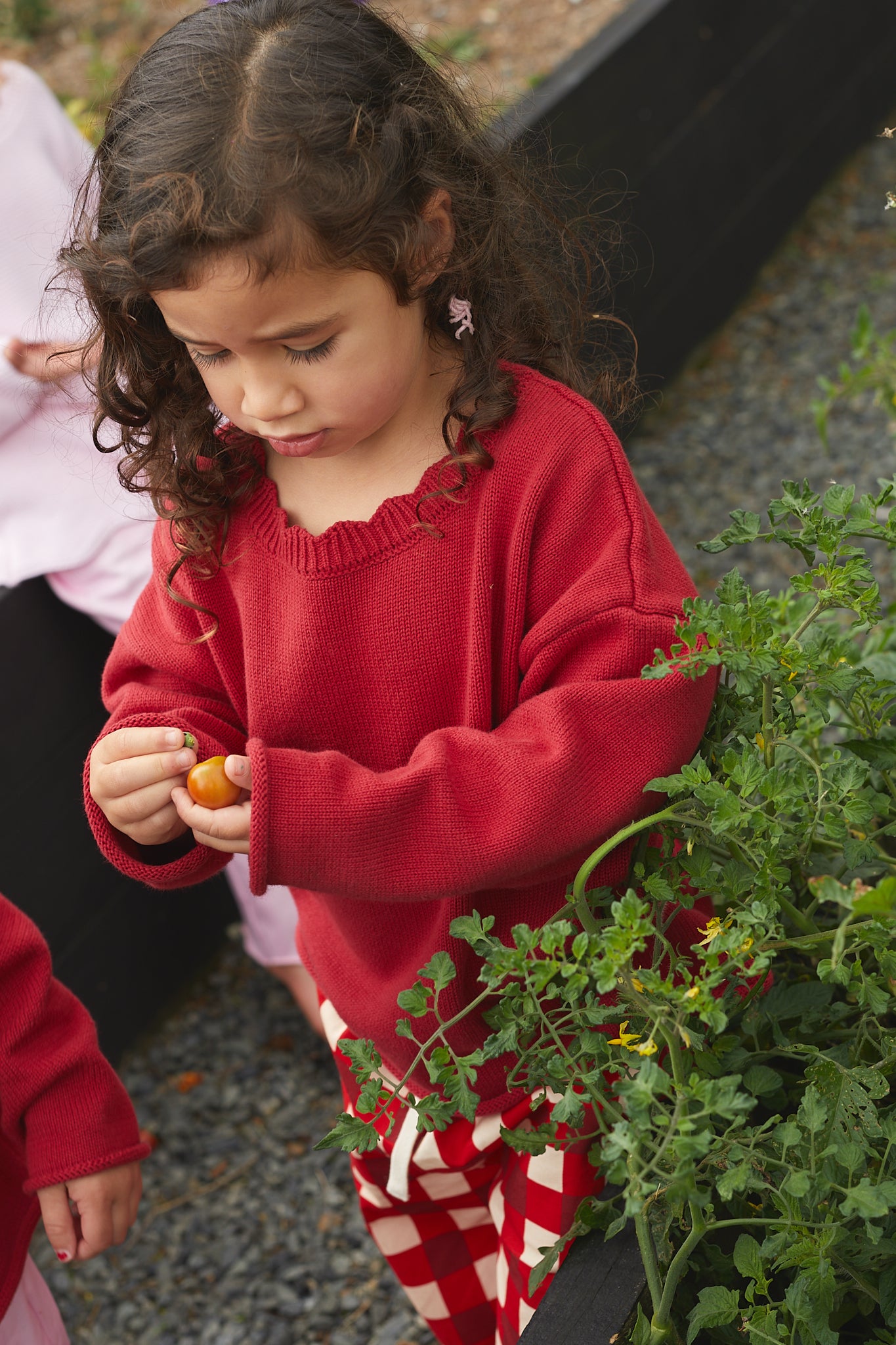 Poppy Knit Sweater - Cherry Red