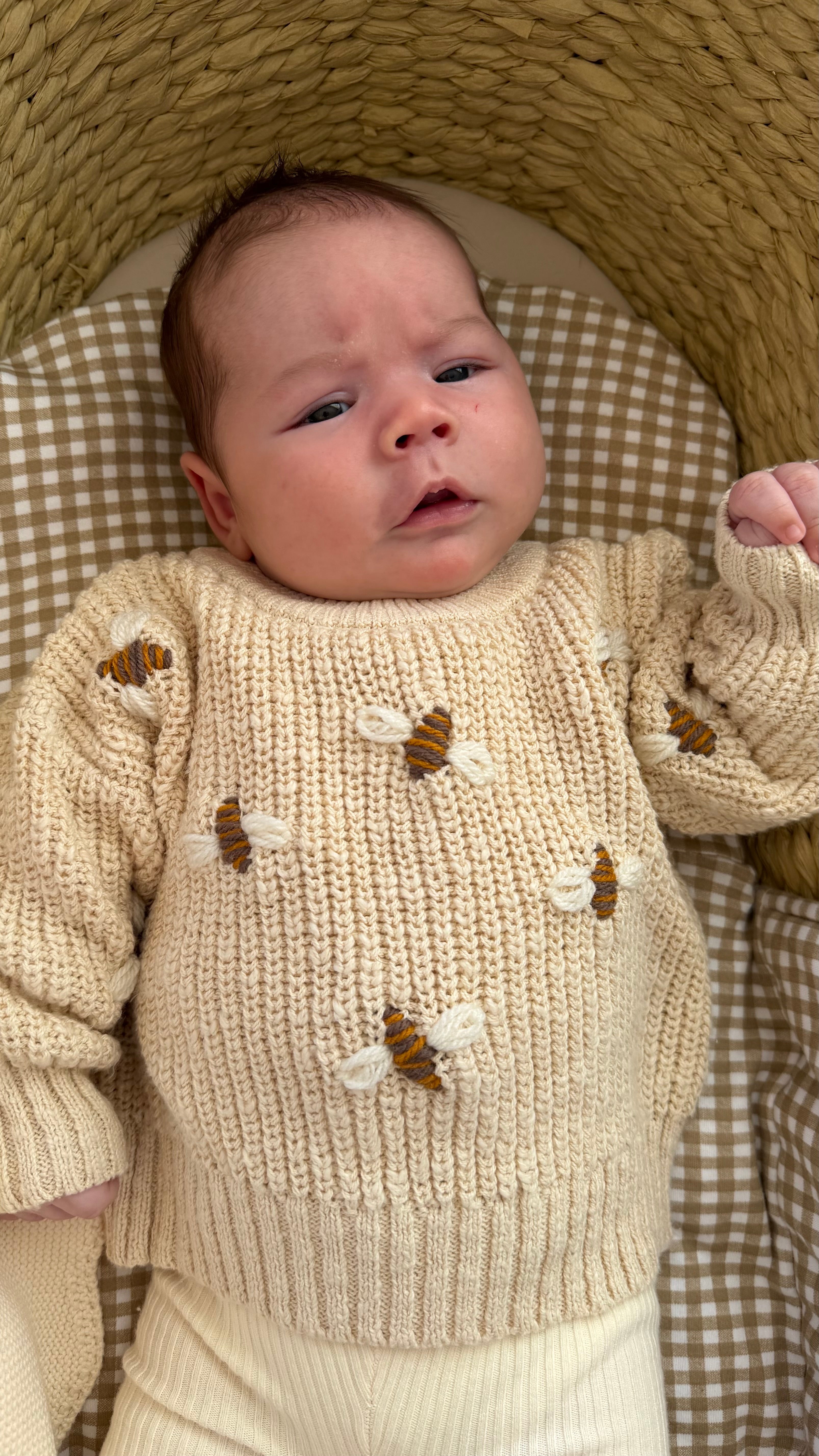 Darcy Textured Knit Sweater | Honey